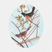 Ornement En Métal Towee Bunting Audubon Black and Orange Song Birds (Verso)