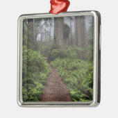 Ornement En Métal Traverser les séquoias géants recouverts de séquoi (Gauche)