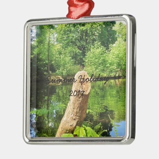 Ornement En Métal Tree Trunk Nature Photographie Parc du lac (Gauche)