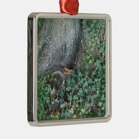 Ornement En Métal Tronc d'arbre et lierre en forêt (Droite)