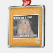 Ornement En Métal U m'a trouvé un maïs (Gauche)