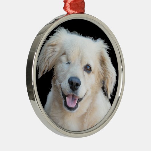 Ornement En Métal Un beau un chien observé (Droite)