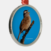 Ornement En Métal Un Bruant à tête blanche chante au soleil (Droite)