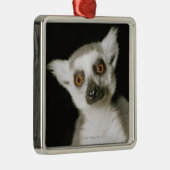 Ornement En Métal Un lemur. (Droite)