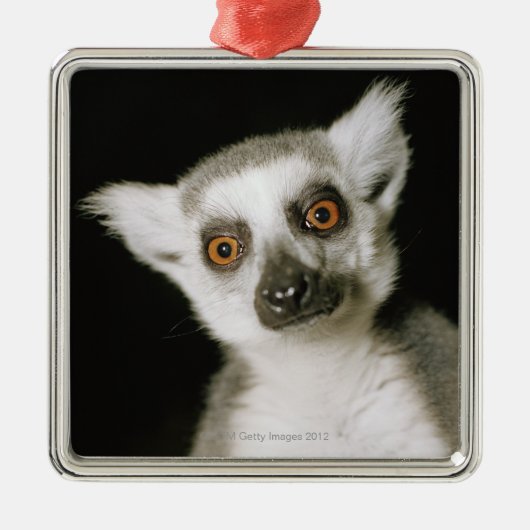 Ornement En Métal Un lemur. (Devant)