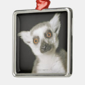 Ornement En Métal Un lemur. (Gauche)