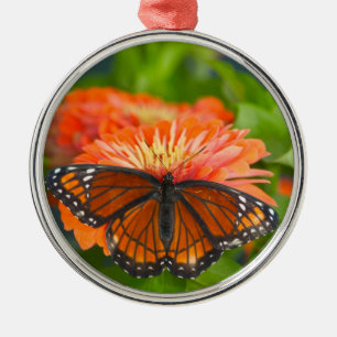 Ornement En Métal Un papillon Limenitis archippus sur des Zinnia à f