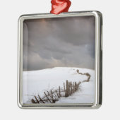 Ornement En Métal Une barrière cassée le long d'une neige a couvert (Gauche)