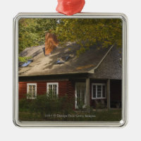 Une maison rouge de rondin