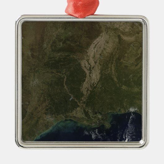 Ornement En Métal Une vue dégagée sur le sud des États-Unis (Devant)