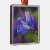 Ornement En Métal USA, Maine, Parc national de l'Acadia. Clôture de (Droite)