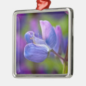 Ornement En Métal USA, Maine, Parc national de l'Acadia. Clôture de (Gauche)