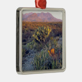 Ornement En Métal USA, Texas, Big Bend NP. Un crépuscule rose sablon (Droite)