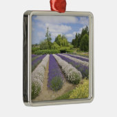 Ornement En Métal USA, WA, Sequim, Purple Haze Lavender Farm (Droite)