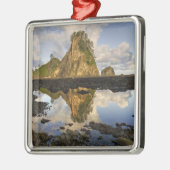 Ornement En Métal USA, Washington, Parc national olympique.A (Gauche)