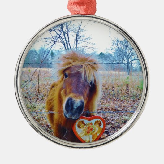 Ornement En Métal Valentine Heart Horse (Devant)