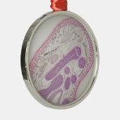 Ornement En Métal Ver parasite de nématode (espèces d'ascaride) (Droite)