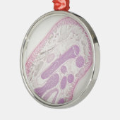 Ornement En Métal Ver parasite de nématode (espèces d'ascaride) (Gauche)