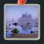 Ornement En Métal WA, Parc national olympique, Second Beach,<br><div class="desc">DROIT D'AUTEUR Jamie & Judy Wild / Danita Delimont.com| US48 JWI1895.jpg| WA,  Parc national olympique,  Deuxième plage,  piscines et collations</div>