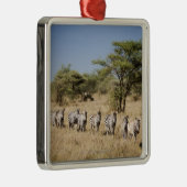 Ornement En Métal Zèbre de migration, Tanzanie (Droite)