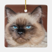 Ornement en porcelaine de chat de Siamese (Dos)