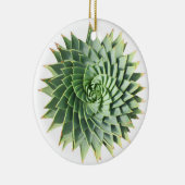 Ornement en spirale de Succulent d'aloès (Droite)