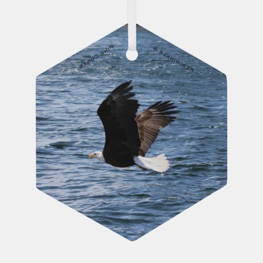 Ornement En Verre Aigle survolant la crête océanique (Verso)