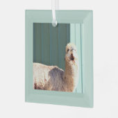 Ornement En Verre Alpaca Photo Ornament  (Avant gauche)