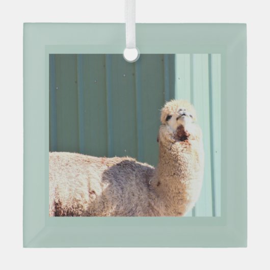 Ornement En Verre Alpaca Photo Ornament  (Recto)