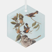 Ornement En Verre American Redstart Audubon Birds and Wasp Nest (Recto)