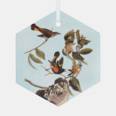 Ornement En Verre American Redstart Audubon Birds and Wasp Nest (Verso)