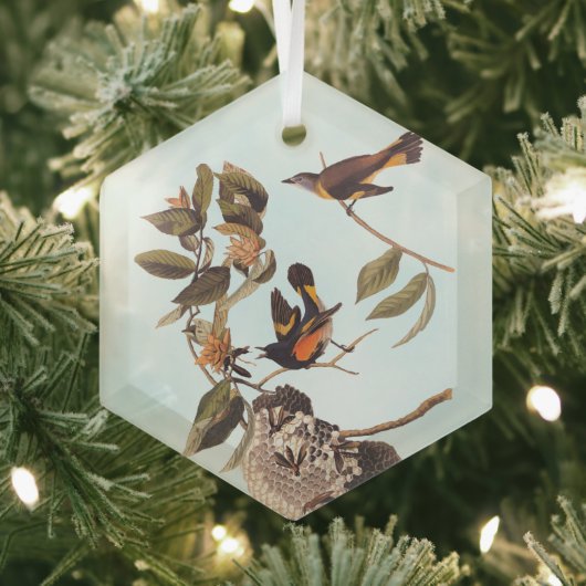 Ornement En Verre American Redstart Audubon Birds and Wasp Nest (Insitu)