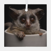 Ornement En Verre Animaux de bébés cutest | Bébé mignon (Verso)