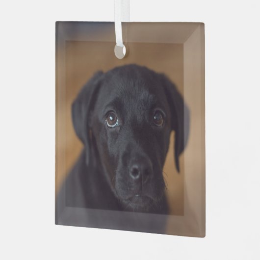 Ornement En Verre Animaux de bébés cutest | Black Labrador Puppy (Avant gauche)