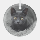 Ornement En Verre Animaux de bébés cutest | Chat gris (Recto)