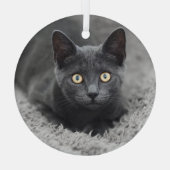 Ornement En Verre Animaux de bébés cutest | Chat gris (Verso)