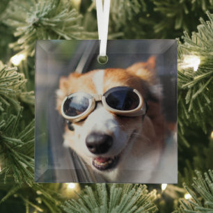 Ornement En Verre Animaux de bébés cutest Corgi lunettes dans la v