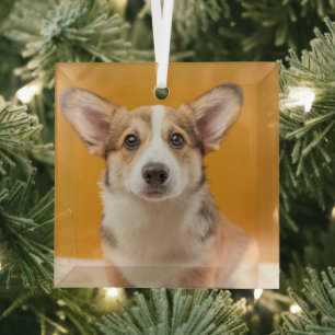 Ornement En Verre Animaux de bébés cutest Corgi Portrait sur Orang