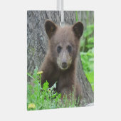 Ornement En Verre Animaux de bébés cutest | Cube d'ours Brown (Avant droite)