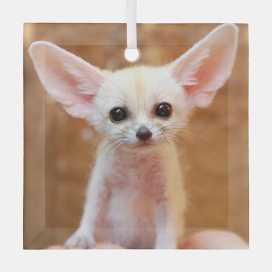 Ornement En Verre Animaux de bébés cutest | Fennec Fox (Recto)