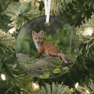 Ornement En Verre Animaux de bébés cutest Foxy Smile