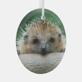 Ornement En Verre Animaux de bébés cutest | Hedgehog Smile (Avant droite)