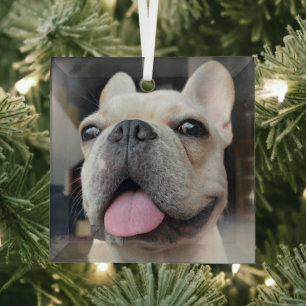 Ornement En Verre Animaux de bébés cutest Le visage de Bulldog