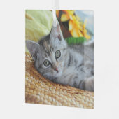 Ornement En Verre Animaux de bébés cutest | Lounge Kitten (Avant gauche)