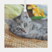 Ornement En Verre Animaux de bébés cutest | Lounge Kitten (Recto)