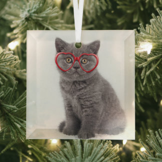 Ornement En Verre Animaux de bébés cutest | Lunettes cardiaques de c