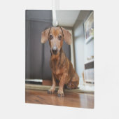 Ornement En Verre Animaux de bébés cutest | Mini chiot (Avant gauche)