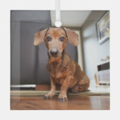 Ornement En Verre Animaux de bébés cutest | Mini chiot (Recto)