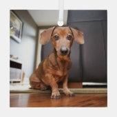 Ornement En Verre Animaux de bébés cutest | Mini chiot (Verso)