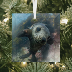 Ornement En Verre Animaux de bébés cutest Phoque sous-marin Cape F